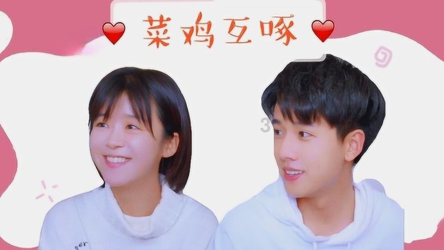 逃离变色龙森林